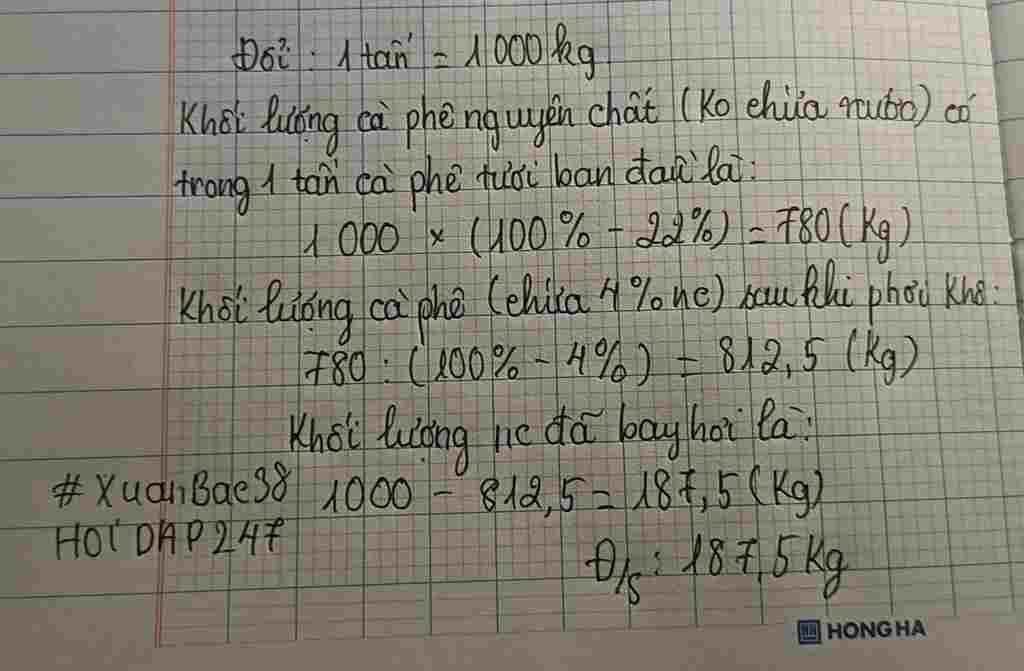 toan-lop-5-ti-le-nuoc-trong-hat-ca-phe-tuoi-la-22-co-1-tan-hat-ca-phe-tuoi-dem-phoi-kho-luong-ca