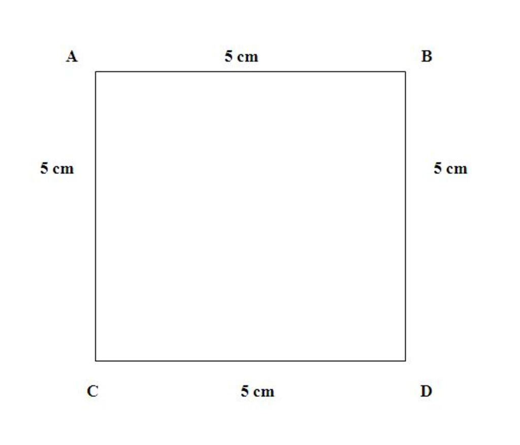 toan-lop-6-1-cho-hinh-vuong-abcd-co-ab-7cm-tinh-do-dai-cac-doan-thang-bc-dc-ad-2-dung-thuoc-va-e