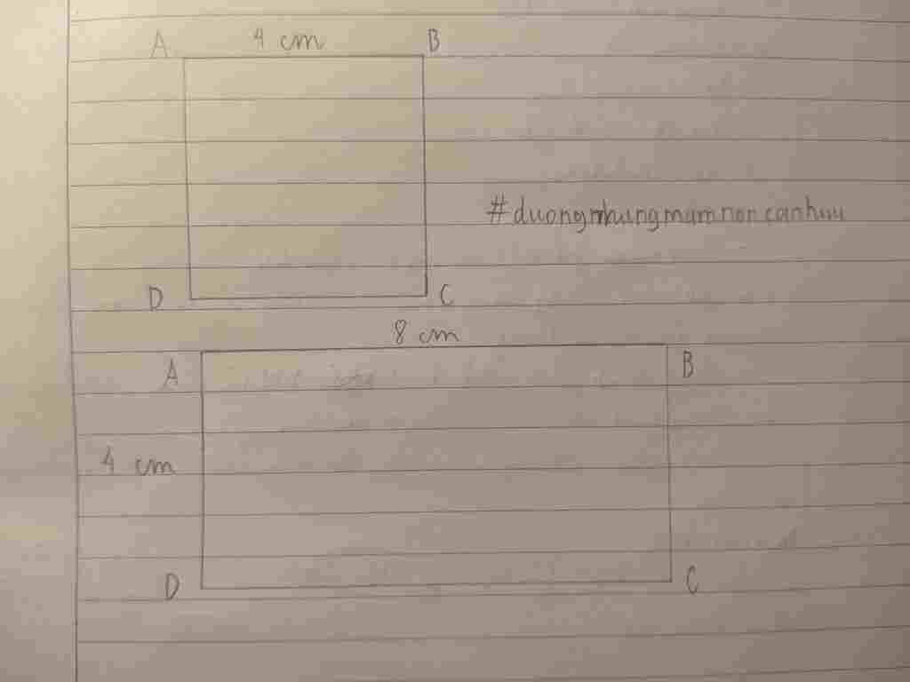 toan-lop-6-a-ve-hinh-vuong-canh-dai-4-cm-va-hinh-chu-nhat-co-mot-canh-dai-4-cm-mot-canh-dai-8-cm