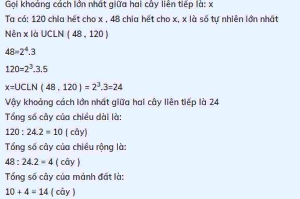 toan-lop-6-bai-1-mot-vuon-hinh-chu-nhat-co-chieu-dai-120m-chieu-rong-48m-nguoi-ta-muon-trong-cay