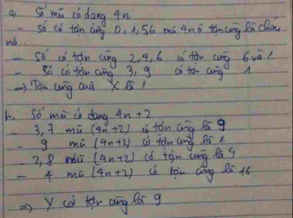 toan-lop-6-bai-2-tim-chu-so-tan-cung-cua-y-2-2-3-6-4-10-2004-8010-y-2-8-3-12-4-16-2004-8016