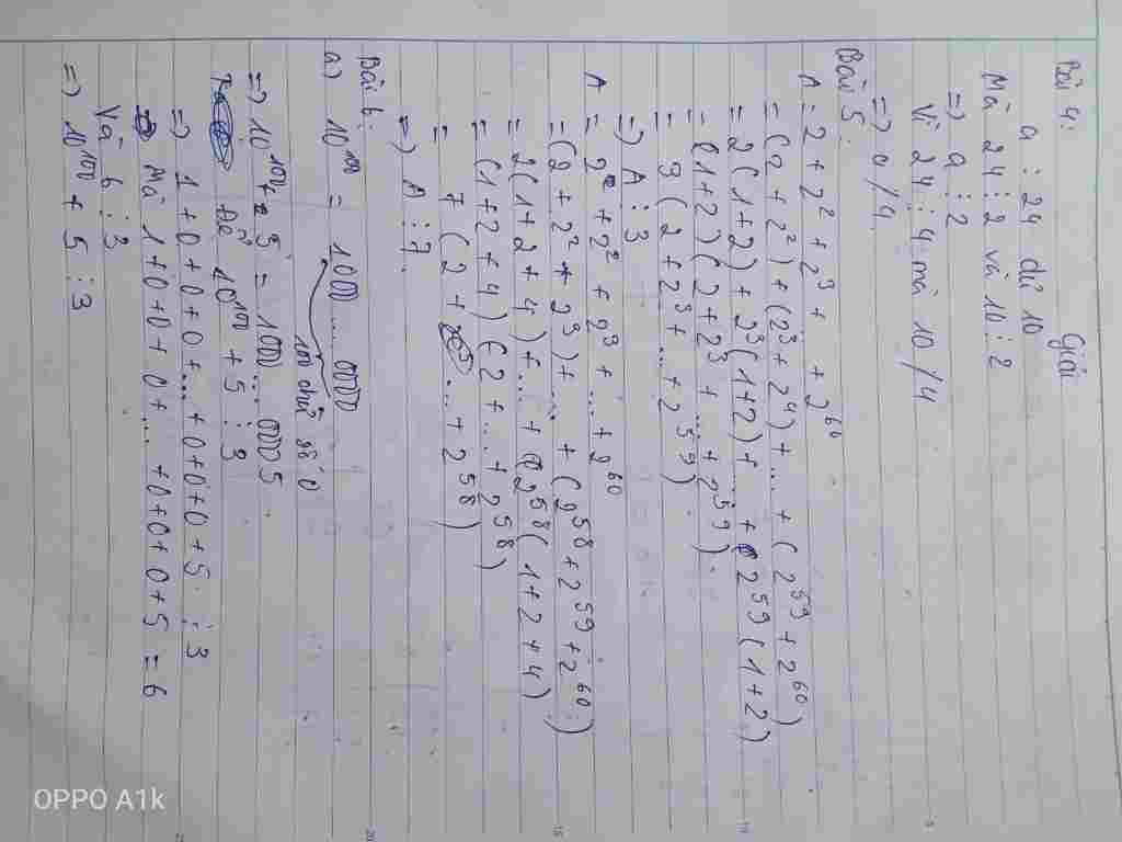 toan-lop-6-bai-4-khi-chia-a-cho-24-duoc-du-la-10-hoi-a-chia-het-cho-2-a-chia-het-cho-4-bai-5-cmr