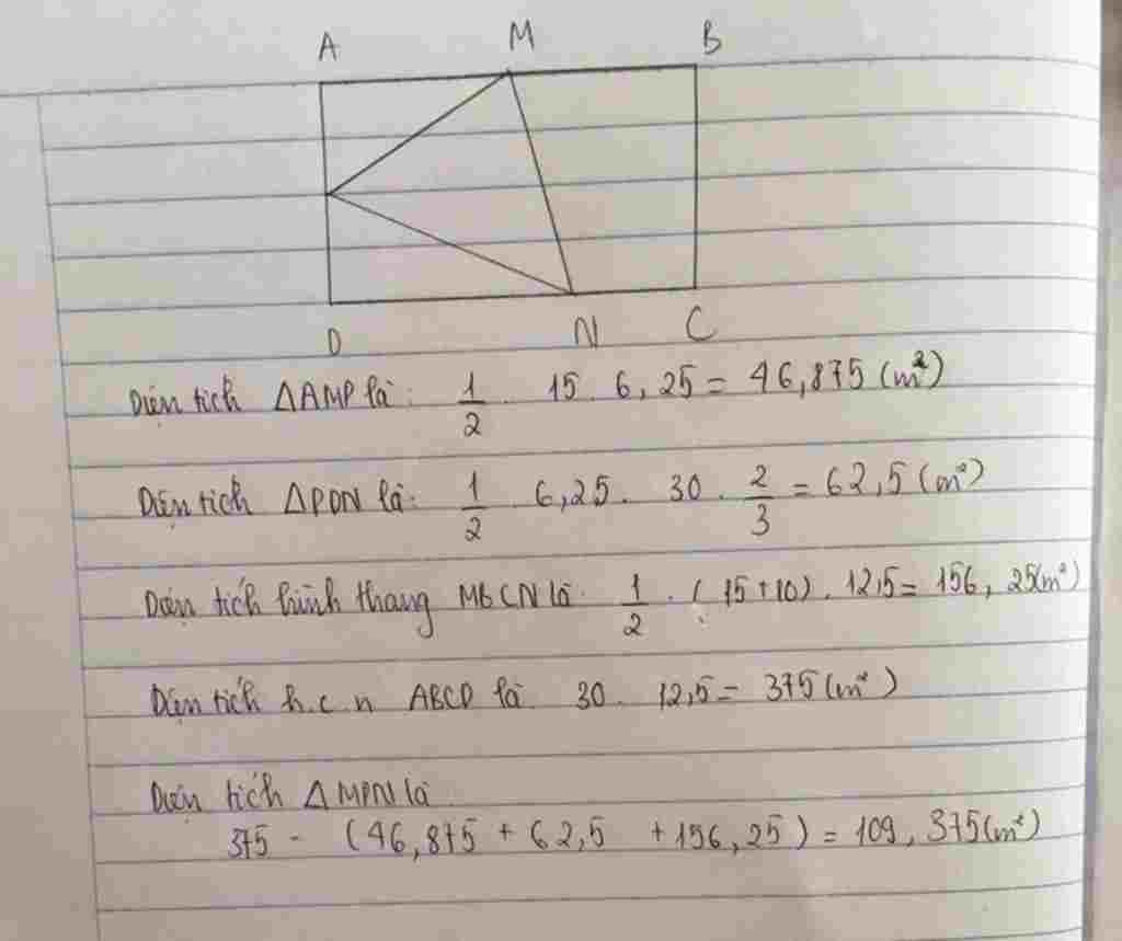 toan-lop-6-cho-hinh-chu-nhat-abcd-co-chieu-dai-30m-va-chieu-rong-12-5m-biet-m-la-trung-diem-cua