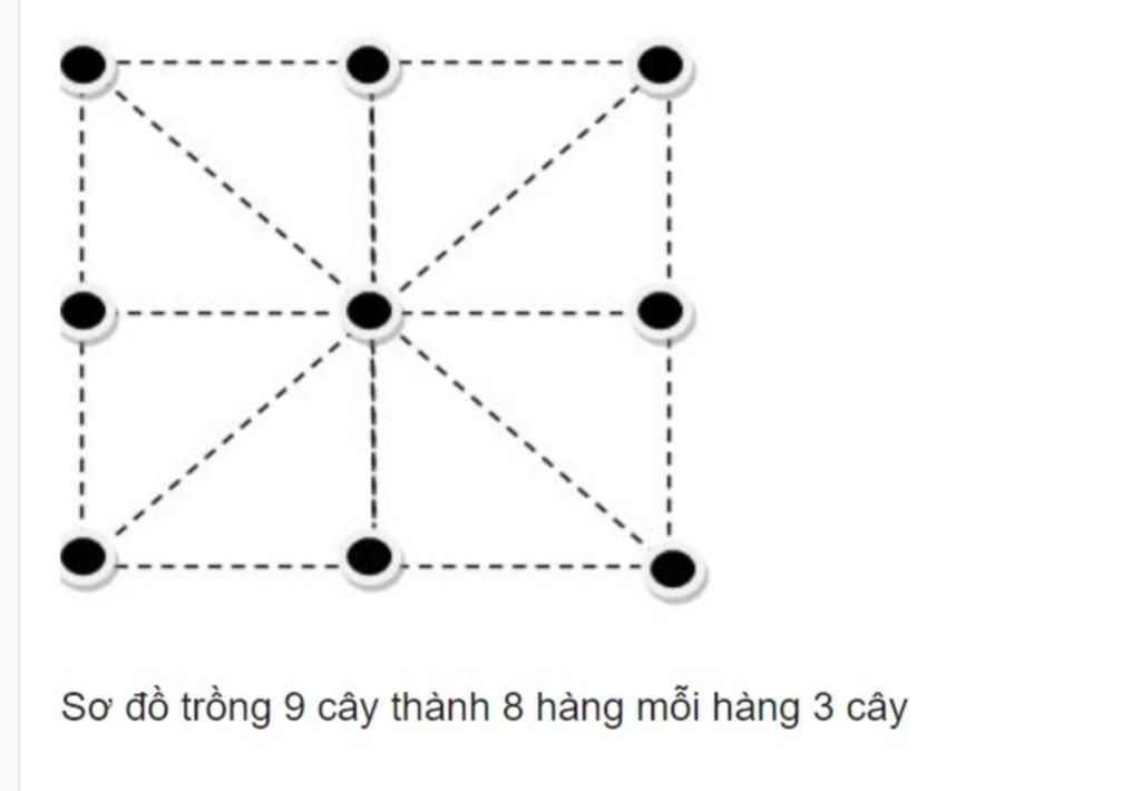 toan-lop-6-co-9-cay-hay-trong-thanh-8-hang-sao-cho-moi-hang-co-3-cay