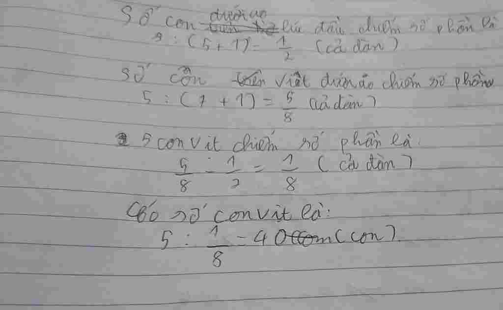 toan-lop-6-co-mot-dan-vit-trong-do-so-boi-duoi-ao-3-5-so-tren-bo-mot-luc-sau-co-them-5-con-uong