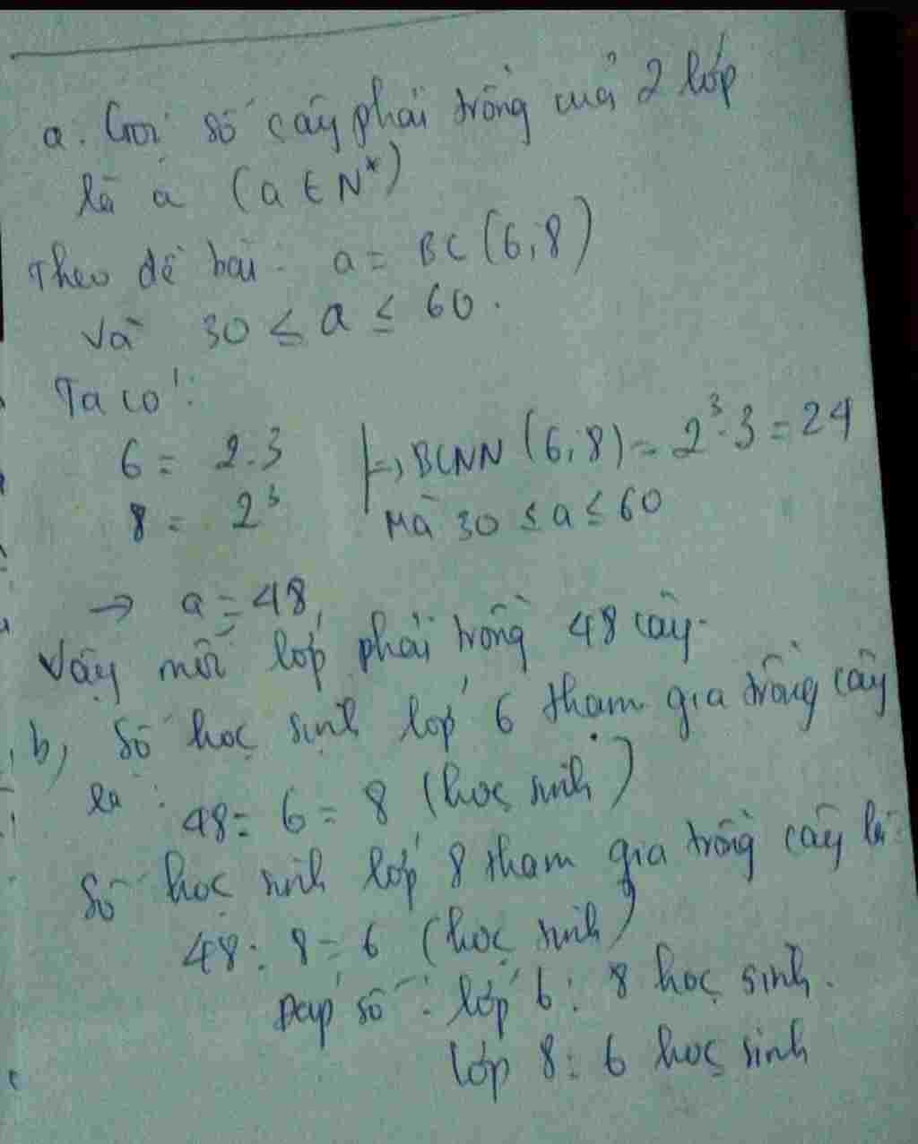 toan-lop-6-hai-lop-6-va-8-deu-trong-cay-dau-nam-voi-so-cay-nhu-nhau-moi-ban-lop-6-trong-6-cay-mo