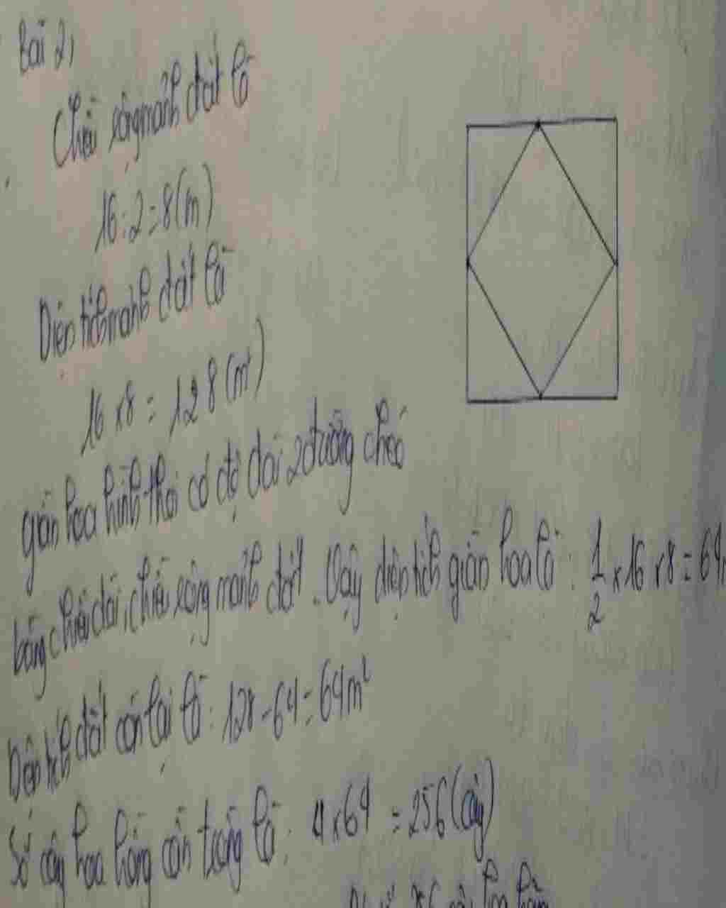 toan-lop-6-mot-manh-dat-hinh-chu-nhat-co-chieu-dai-16-m-va-chieu-rong-bang-nua-chieu-dai-nguoi-t