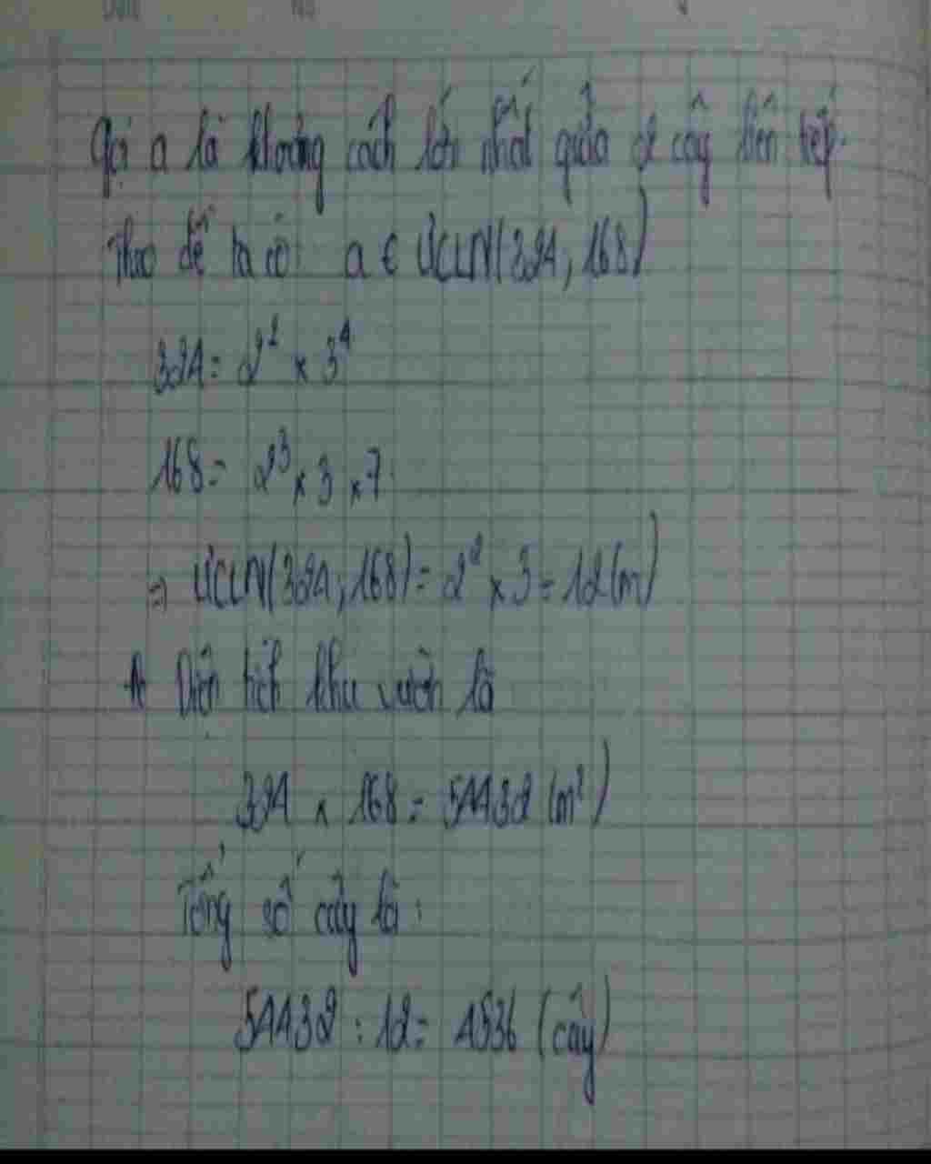 toan-lop-6-mot-manh-vuon-hinh-chu-nhat-co-chieu-dai-324-m-chieu-rong-168-m-nguoi-ta-muon-trong-c