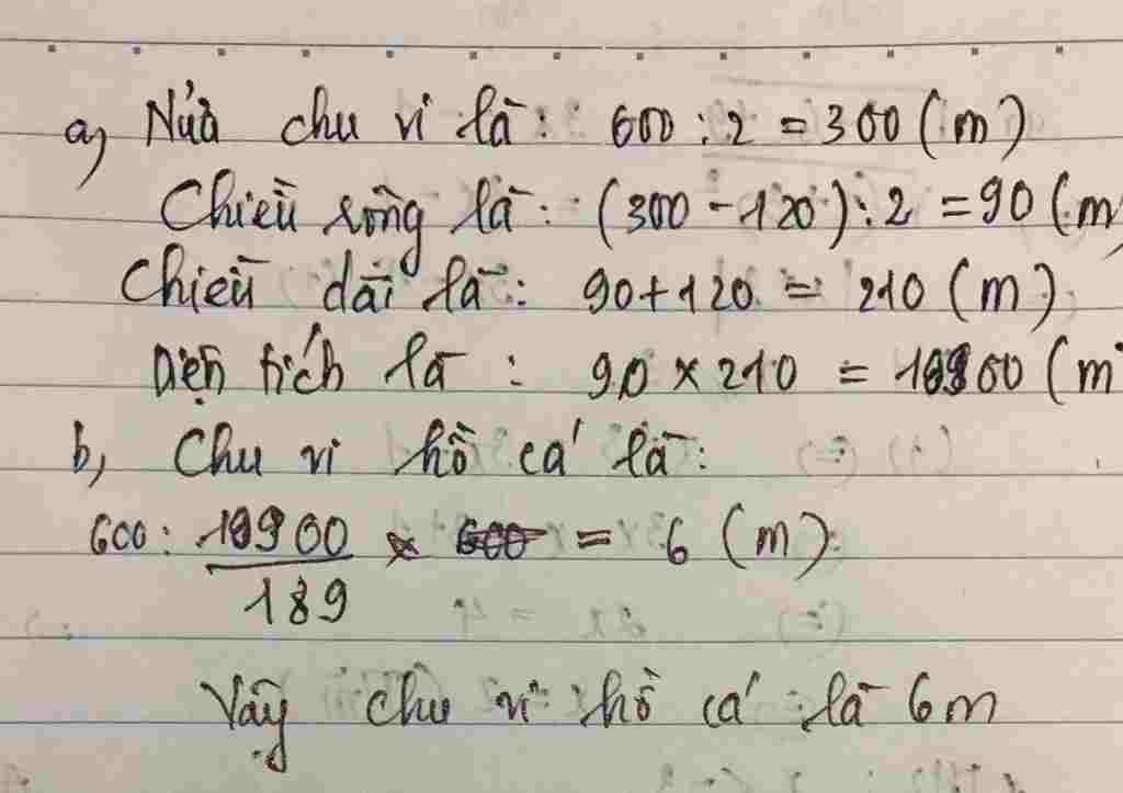 toan-lop-6-mot-manh-vuon-hinh-chu-nhat-co-chu-vi-bang-600m-biet-chieu-dai-hon-chieu-rong-120m-a