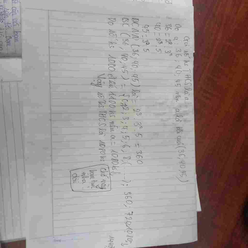 toan-lop-6-mot-thcs-to-chuc-cho-hoc-sinh-di-trai-nghiem-thuc-te-o-que-huong-anh-hoang-van-thu-sa