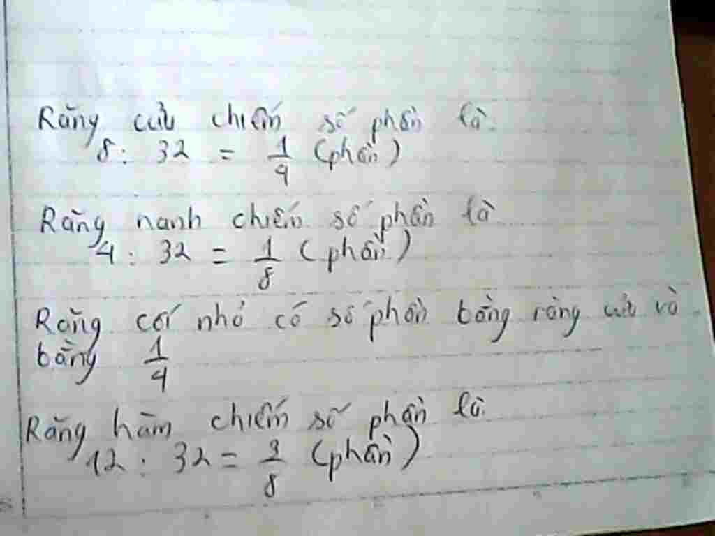 toan-lop-6-nhanh-hay-nhat-va-5-sao-bo-rang-day-du-cua-mot-nguoi-truong-thanh-gom-32-chiec-trong