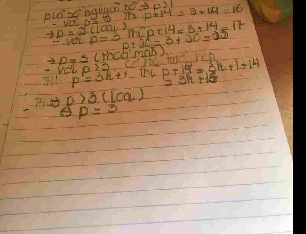 toan-lop-6-p-nguyen-to-thich-hop-voi-p-14-p-20-la-so-nguyen-to