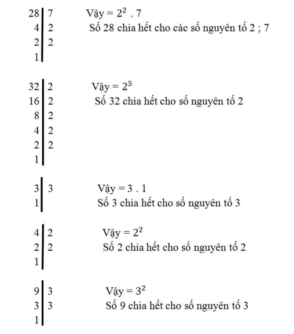 toan-lop-6-phan-tich-ra-thua-so-nguyen-to-28-32-3-4-9