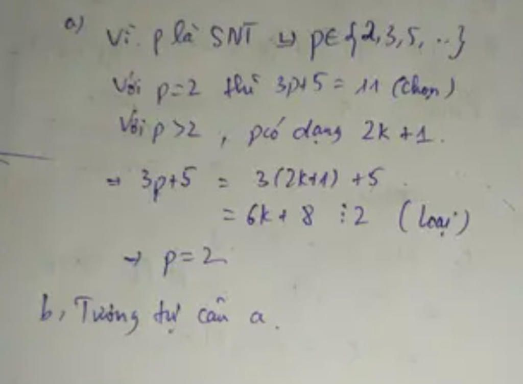 toan-lop-6-tim-cac-so-nguyen-to-p-de-p-8-va-p-10-deu-la-so-nguyen-to
