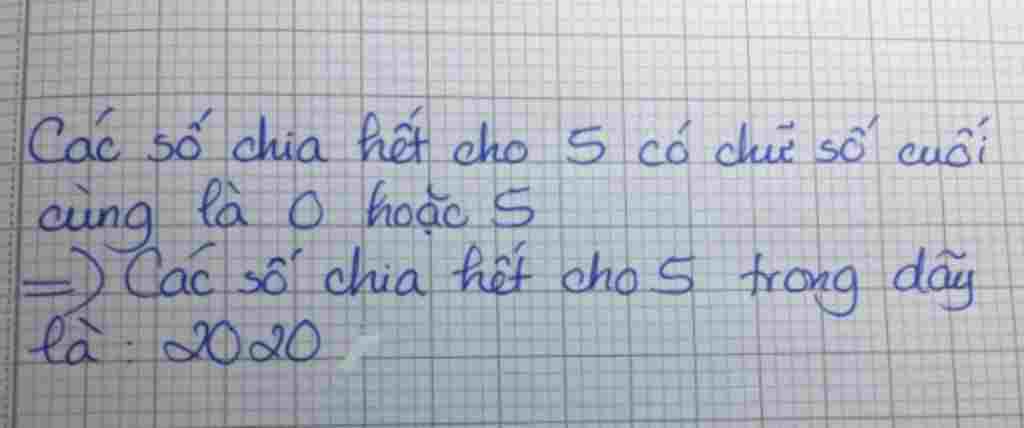 toan-lop-6-trong-cac-so-sau-2020-3149-5021-903-so-nao-chia-het-cho-5-chi-giyp-em-voi-a