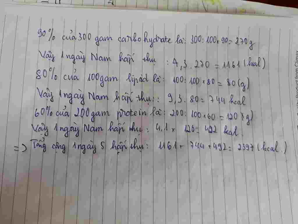 toan-lop-6-trong-khau-phan-an-cua-ban-an-gom-co-300-gam-carbohydrate-100-gam-lipid-200-gam-prote