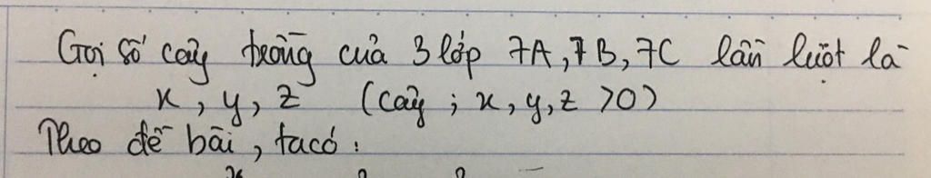 toan-lop-7-7-ba-lop-7a-7b-7c-tham-gia-lao-dong-trong-cay-so-cay-cua-moi-lop-ti-le-voi-cac-so-3-5