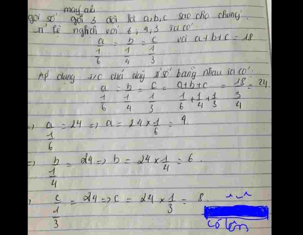 toan-lop-7-ba-doi-may-cay-lam-tren-ba-canh-dong-co-cung-dien-tich-doi-thu-nhat-cay-trong-6ngay-d