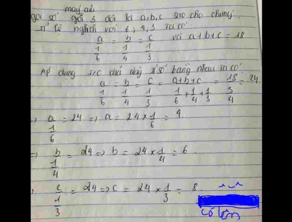 toan-lop-7-ba-doi-may-cay-lam-tren-ba-canh-dong-cung-dien-tich-doi-thu-nhat-cay-trong-6-ngay-doi