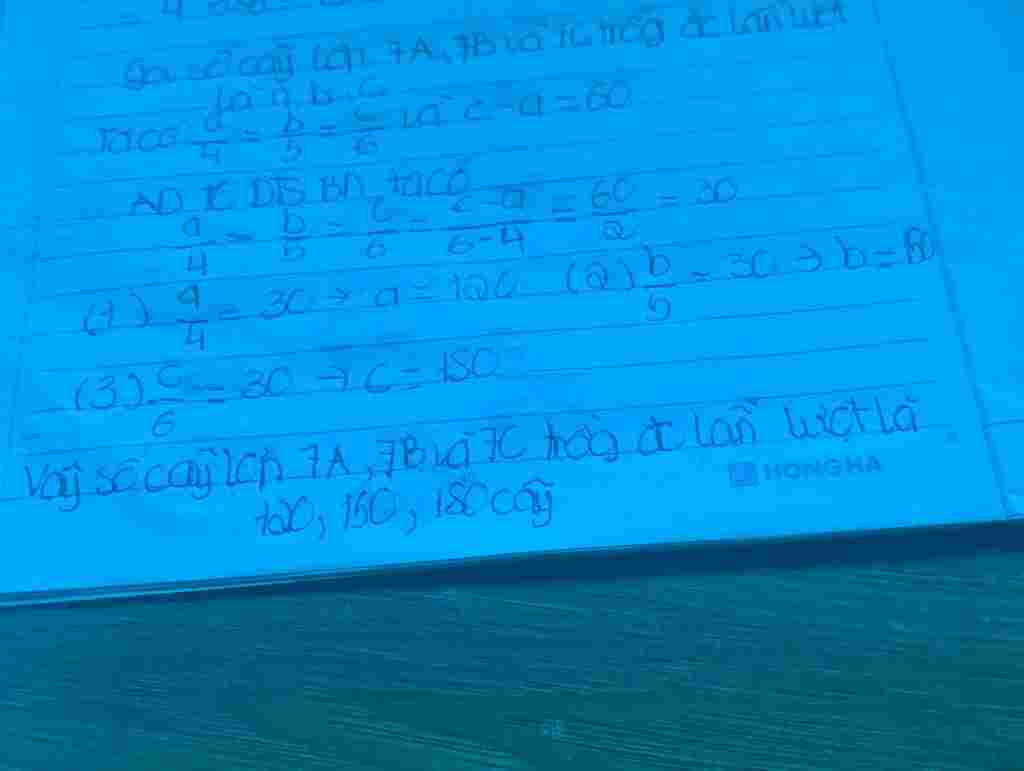 toan-lop-7-ba-lop-7a-7b-7c-cua-mot-truong-thcs-cung-tham-gia-huong-ung-ngay-tet-trong-cay-so-cay