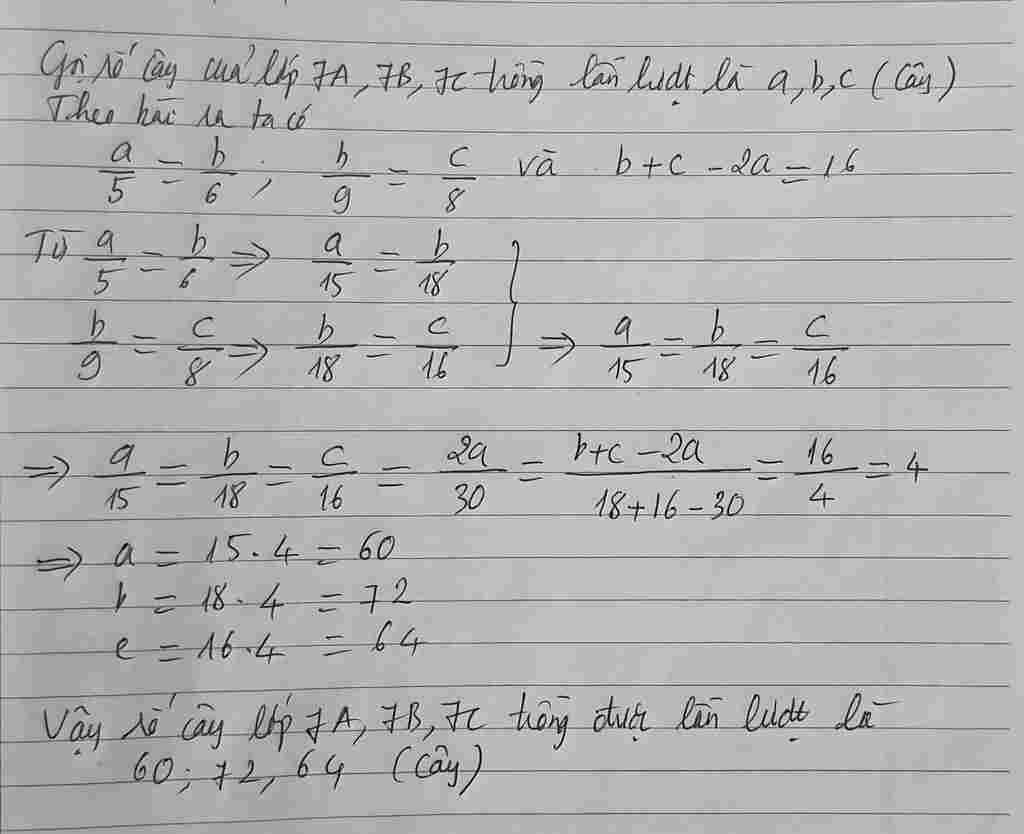 toan-lop-7-ba-lop-7a-7b-7c-di-lao-dong-trong-cay-so-cay-cua-lop-7a-va-7b-lan-luot-ty-le-voi-5-va