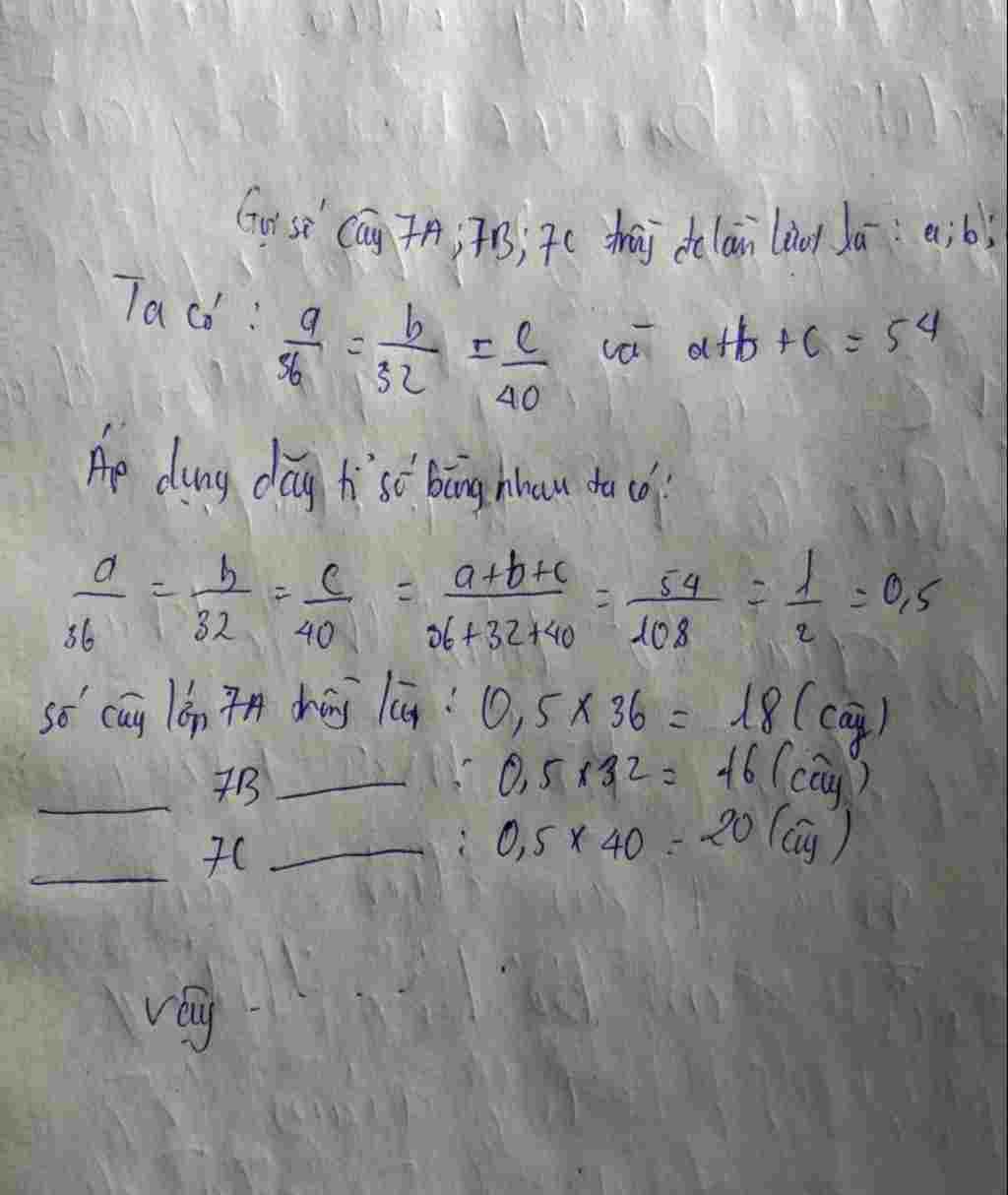 toan-lop-7-ba-lop-7a-7b-7c-tinh-nguyen-trong-tong-cong-54-cay-anh-hoi-moi-lop-trong-duoc-bao-nhi