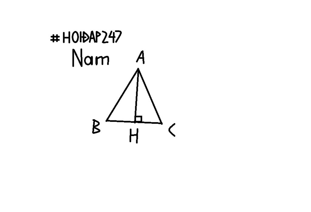 toan-lop-7-bai-9-ve-tam-giac-co-3-goc-nhon-abc-tu-a-ve-duong-cao-ah-cua-tam-giac-do