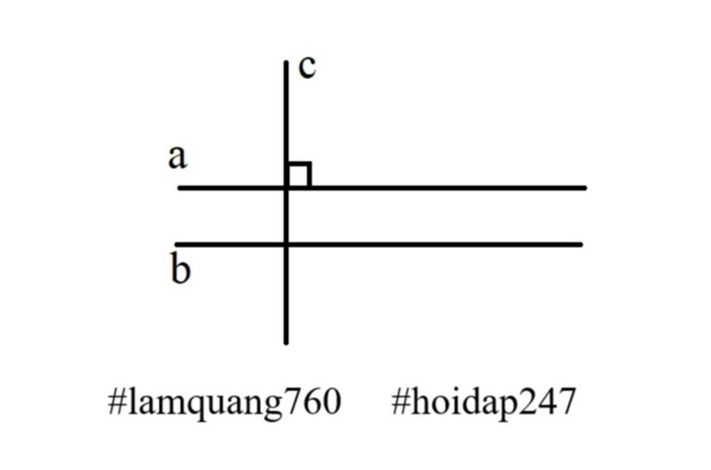 toan-lop-7-cau-18-cho-hai-duong-thang-va-song-song-voi-nhau-duong-thang-vuong-goc-voi-thi-a-vuon