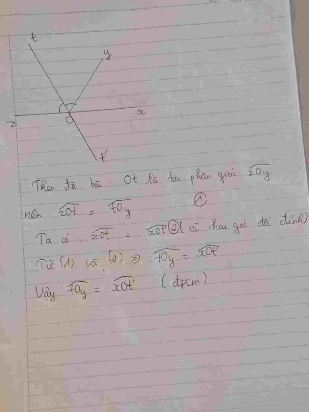 toan-lop-7-cho-2-goc-oy-va-yoz-ke-bu-ve-tia-ot-la-phan-giac-goc-yoz-ot-la-tia-doi-cua-tia-ot-chu