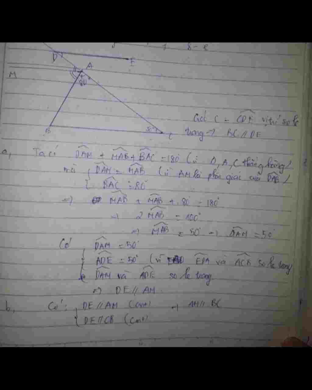 toan-lop-7-cho-abc-co-goc-a-80-do-goc-c-50-do-tren-tia-doi-cua-tia-ac-lay-diem-d-va-ve-goc-cde-s