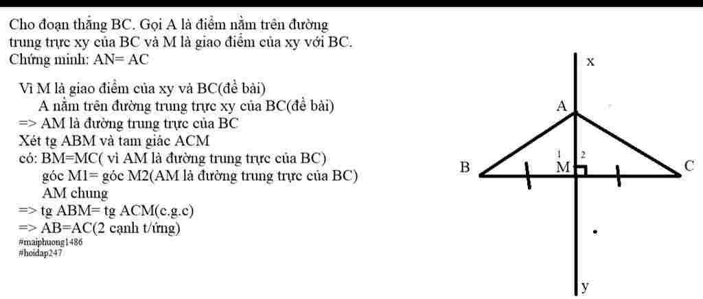 toan-lop-7-cho-doan-thang-bc-goi-a-la-diem-nam-tren-duong-trung-truc-y-cua-bc-va-m-la-giao-diem