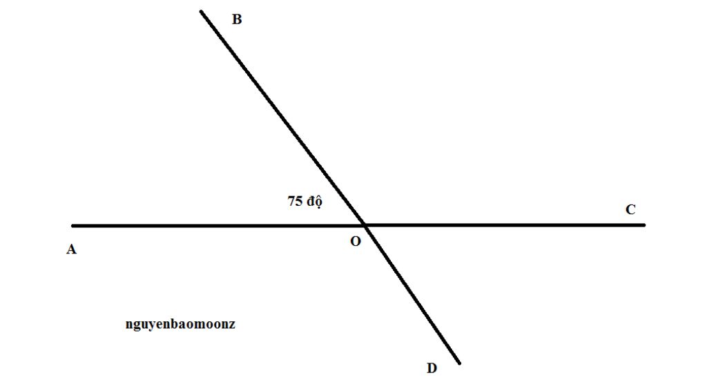 toan-lop-7-cho-goc-aob-75-ve-goc-cod-la-goc-doi-dinh-voi-goc-aob-tinh-cac-goc-con-lai-tai-dinh-o