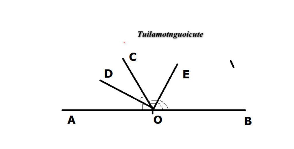 toan-lop-7-cho-goc-aoc-ke-bu-voi-goc-boc-od-oe-lan-luot-la-tia-phan-giac-goc-aoc-va-boc-chung-mi