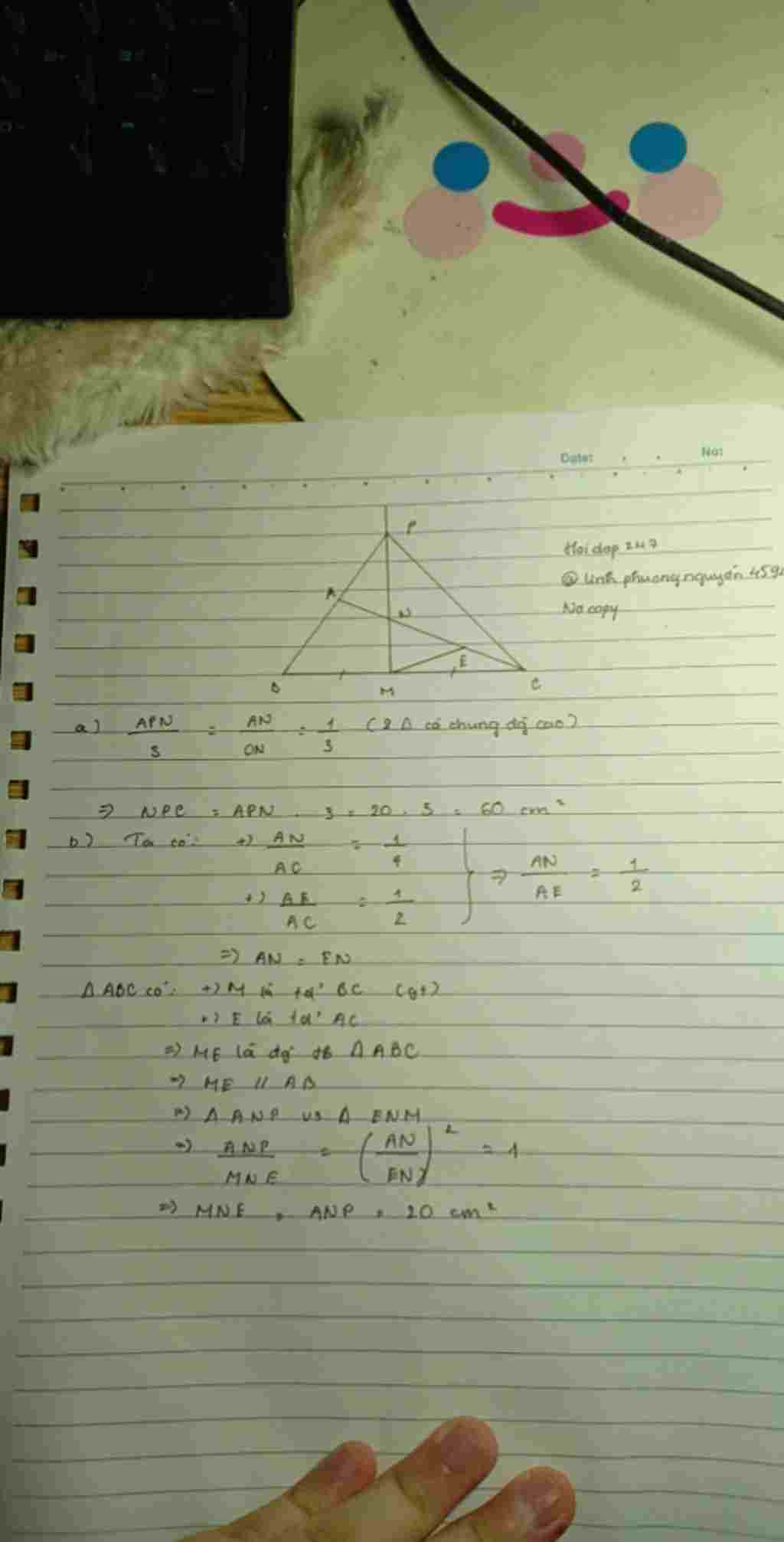 toan-lop-7-cho-tam-giac-abc-m-la-diem-chinh-giua-canh-bc-tren-canh-ac-lay-diem-n-keo-dai-sao-an