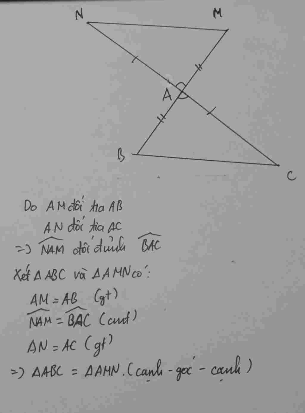 toan-lop-7-cho-tam-giac-abc-tren-tia-doi-cua-ab-lay-diem-m-sao-cho-ab-am-tren-tia-doi-cua-tia-ac