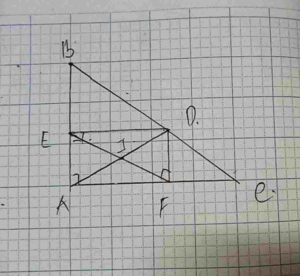 toan-lop-7-cho-tam-giac-abcd-vuobg-tai-a-tu-diem-d-tren-canh-huyen-bc-ve-de-vuong-goc-ab-df-vuon