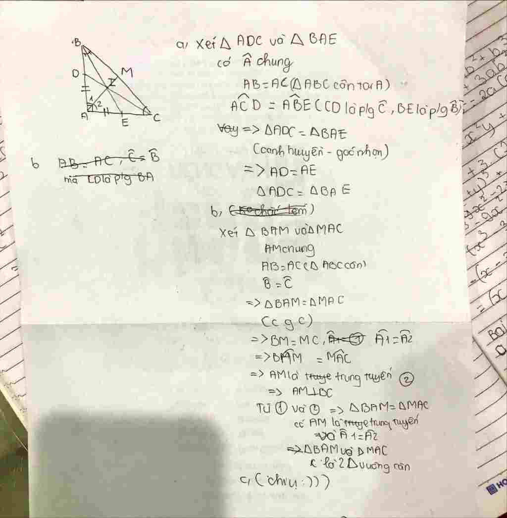 toan-lop-7-cho-tam-giac-vuong-can-abc-ab-ac-tia-phan-giac-cua-cac-goc-b-va-c-cat-ac-va-ab-lan-lu