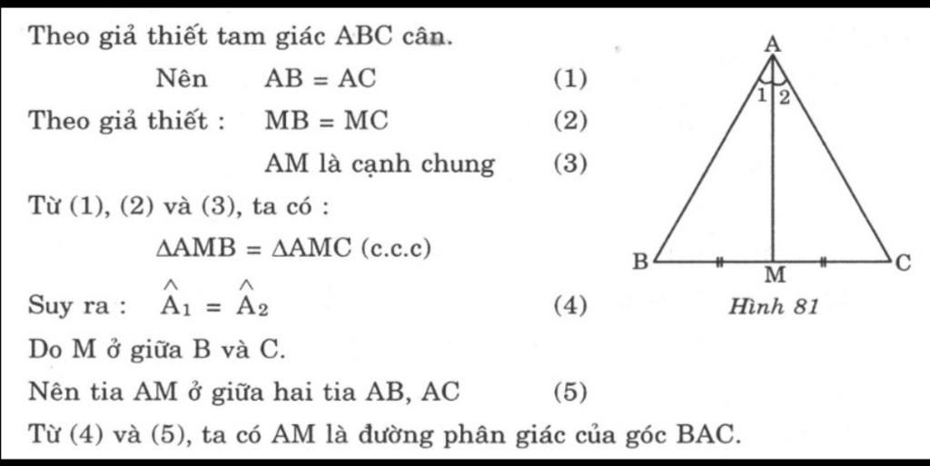 toan-lop-7-chung-minh-dinh-ly-trong-mot-tam-giac-can-duong-trung-tuyen-dong-thoi-la-duong-phan-g