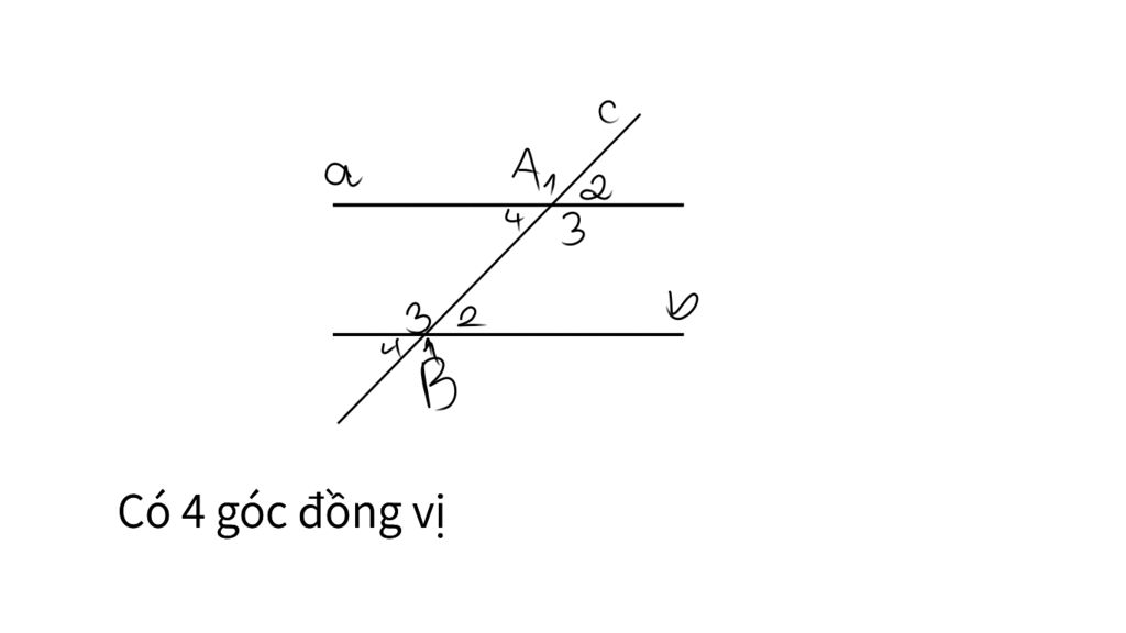 toan-lop-7-duong-thang-c-cat-hai-duong-thang-a-va-b-tao-thanh-may-cap-goc-dong-vi-a-1-b-2-c-4-d