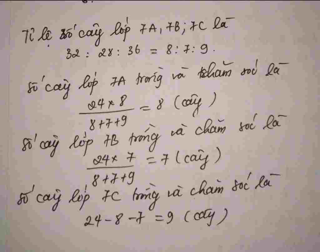 toan-lop-7-hoc-sinh-ba-lop-7-phai-trong-va-cham-soc-hang-tu-cay-anh-lop-7a-co-32-hoc-sinh-lop-7b