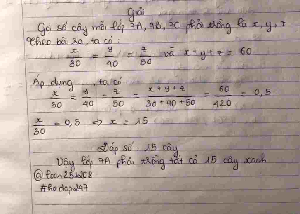 toan-lop-7-hoc-sinh-cua-ba-lop-7-can-phai-trong-60-cay-anh-lop-7a-7b-7c-lan-luot-co-30-40-50-hoc