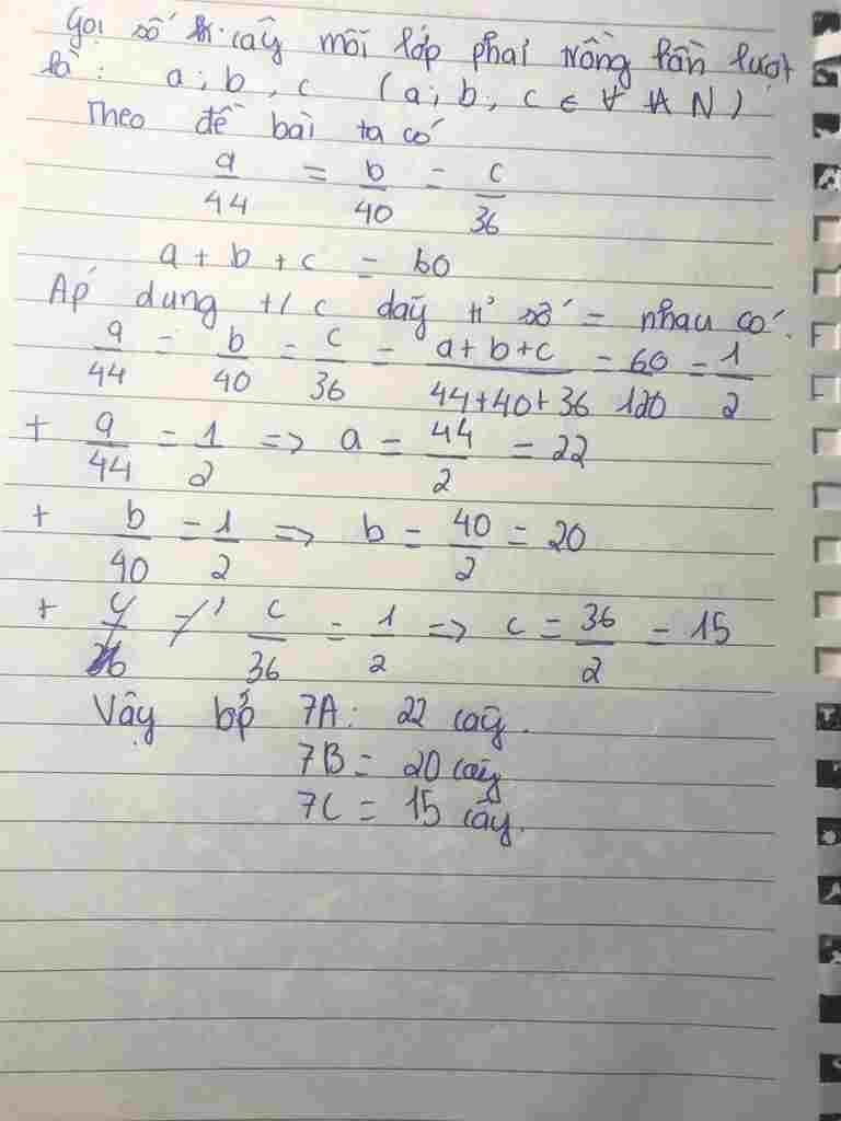 toan-lop-7-hoc-sinh-cua-ba-lop-7a-7b-7c-can-phai-trong-va-cham-soc-60-cay-anh-lop-7a-co-44-hoc-s