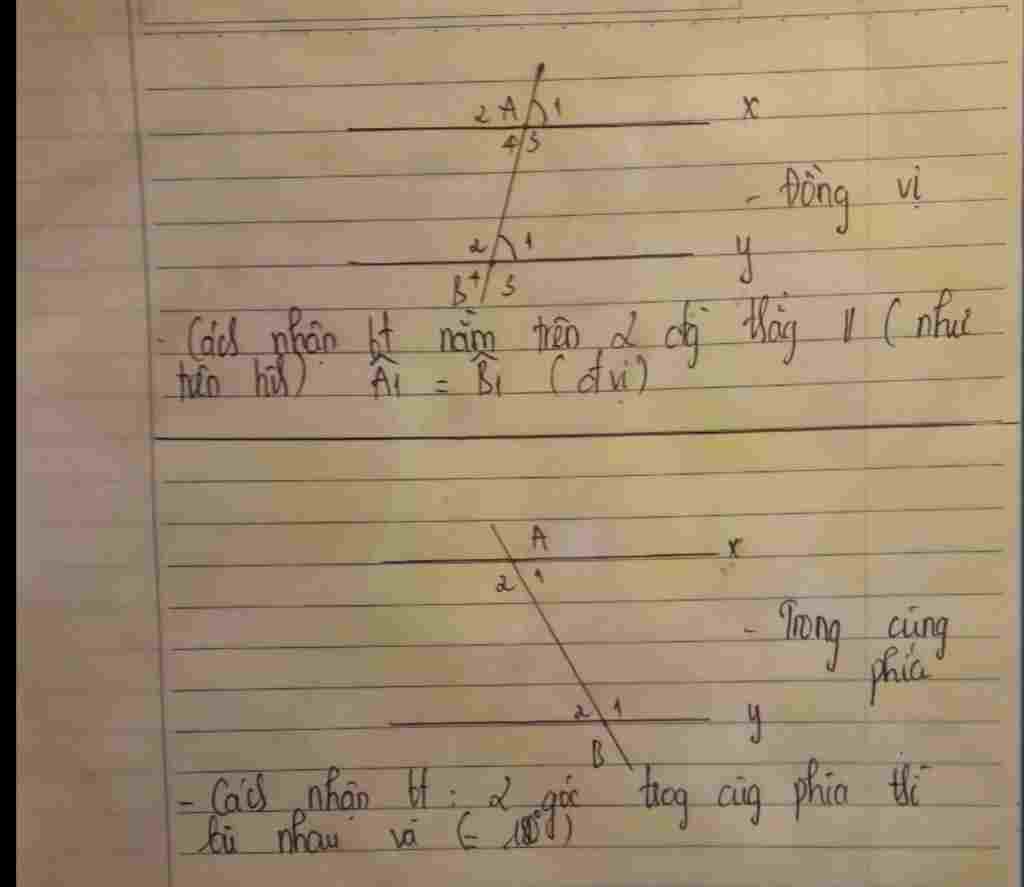 toan-lop-7-lam-sao-de-phan-biet-2-goc-doi-dinh-2-goc-ke-bu-2-goc-sole-trong-2-goc-dong-vi-2-goc
