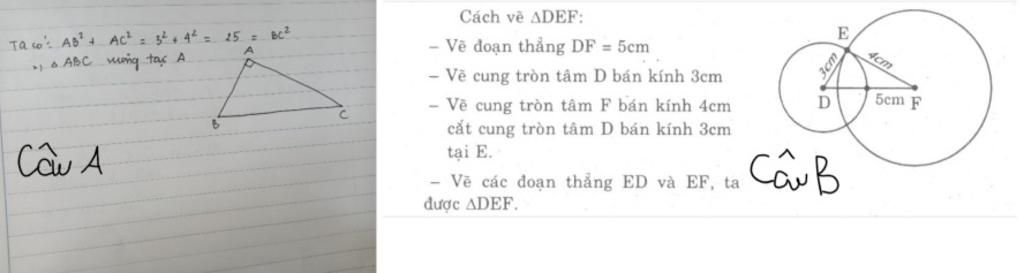 toan-lop-7-moi-nguoi-giup-minh-voi-a-minh-cam-on-thuc-hien-tra-loi-cac-cau-sau-cau-1-a-ve-tam-gi