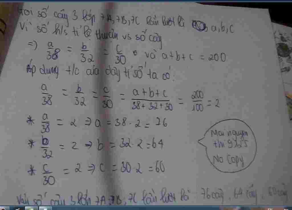 toan-lop-7-so-cay-anh-cua-3-lop-7a-7b-7c-da-trong-va-cham-soc-la-200-cay-h-sinh-cua-lop-7a-la-38