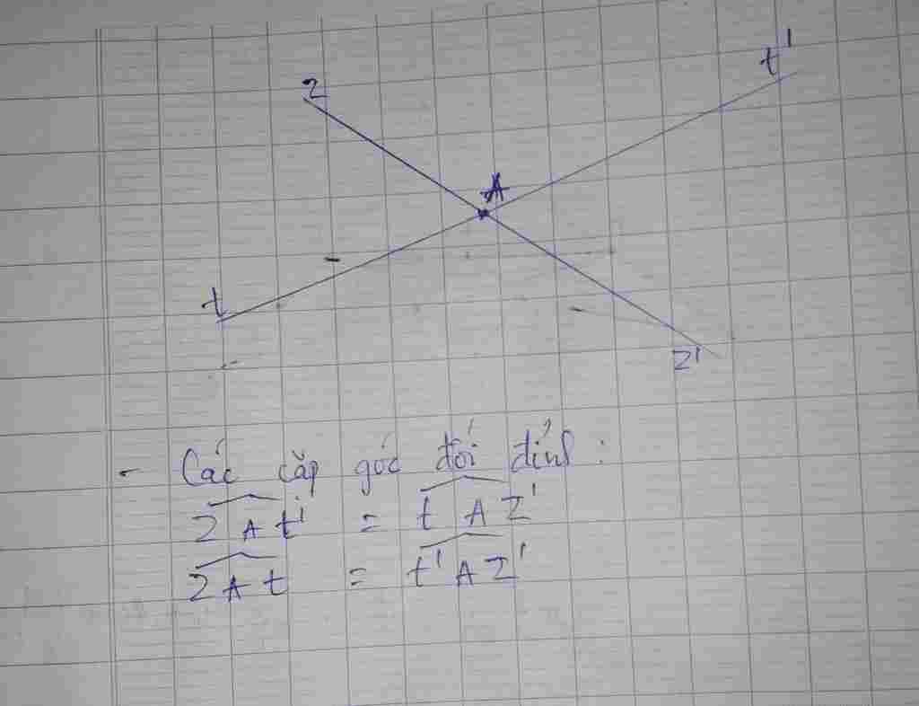 toan-lop-7-ve-hai-duong-thang-zz-va-tt-cat-nhau-tai-a-hay-viet-ten-hai-cap-goc-doi-dinh