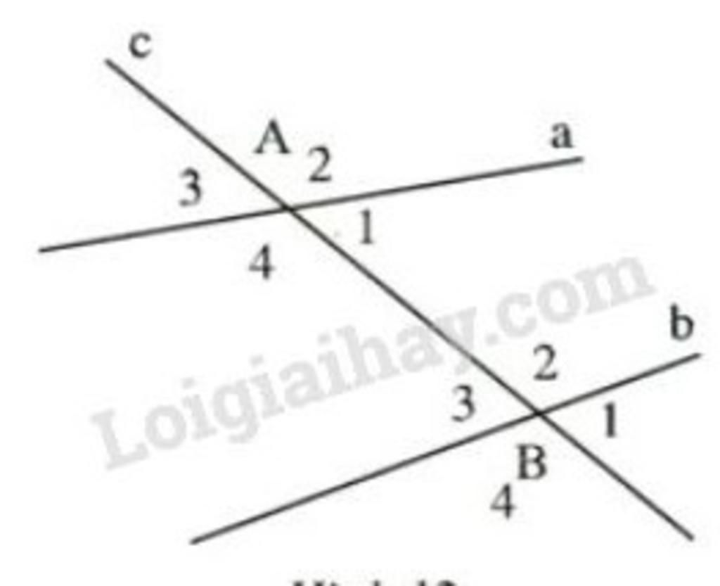 toan-lop-7-ve-hinh-va-viet-gia-thiet-ket-luan-cua-dinh-ly-viet-bang-ky-hieu-neu-mot-duong-thang