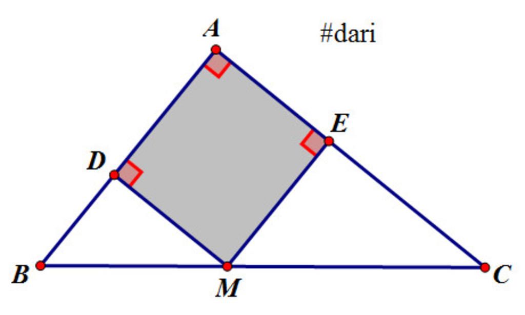 toan-lop-8-48-cho-abc-vuong-tai-a-diem-m-thuoc-canh-huyen-bc-goi-d-e-lan-luot-la-chan-duong-vuon