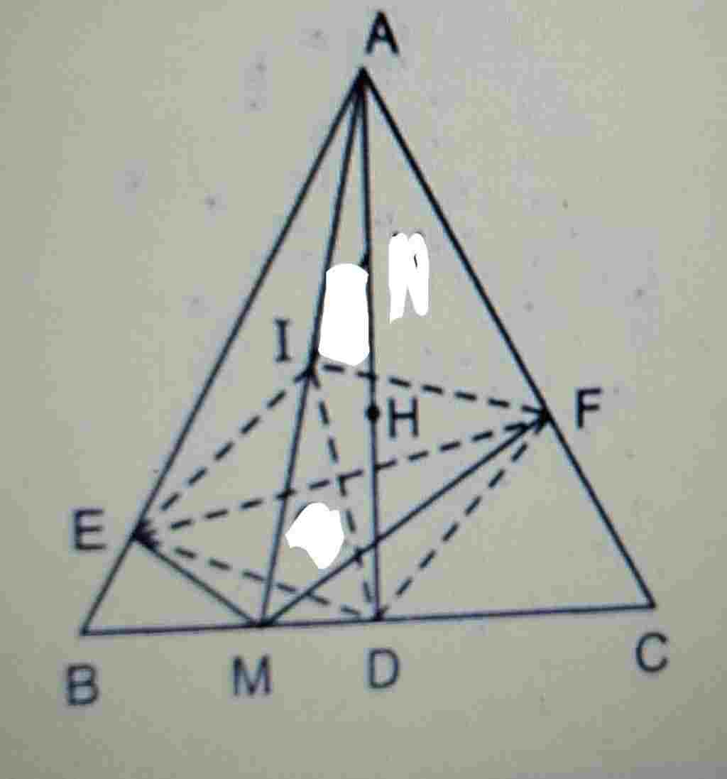 toan-lop-8-bai-3-cho-tam-giac-deu-abc-truc-tam-h-ke-duong-cao-ad-mot-diem-m-thuoc-canh-bc-tu-m-k