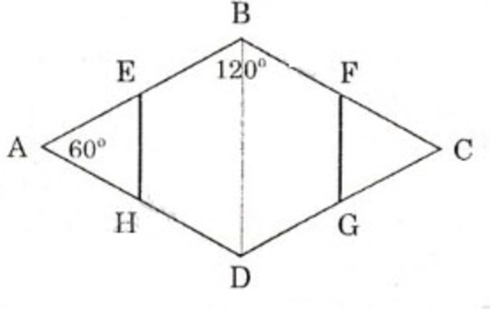 toan-lop-8-bai-dau-tien-cua-toan-hinh-hoc-sgk-tap-1-bai-tap-2-3